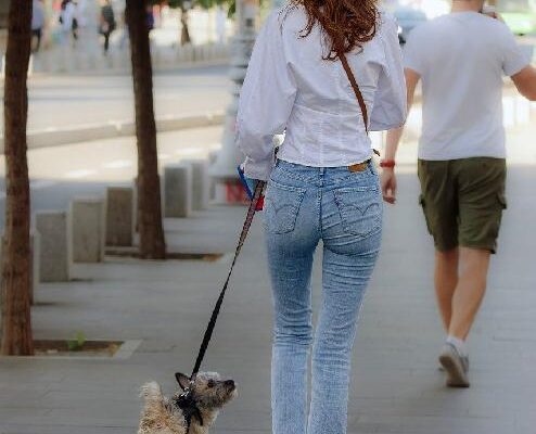 8 סיבות לבקר בקריות, ישראל 8 סיבות לבקר בקריות, ישראל